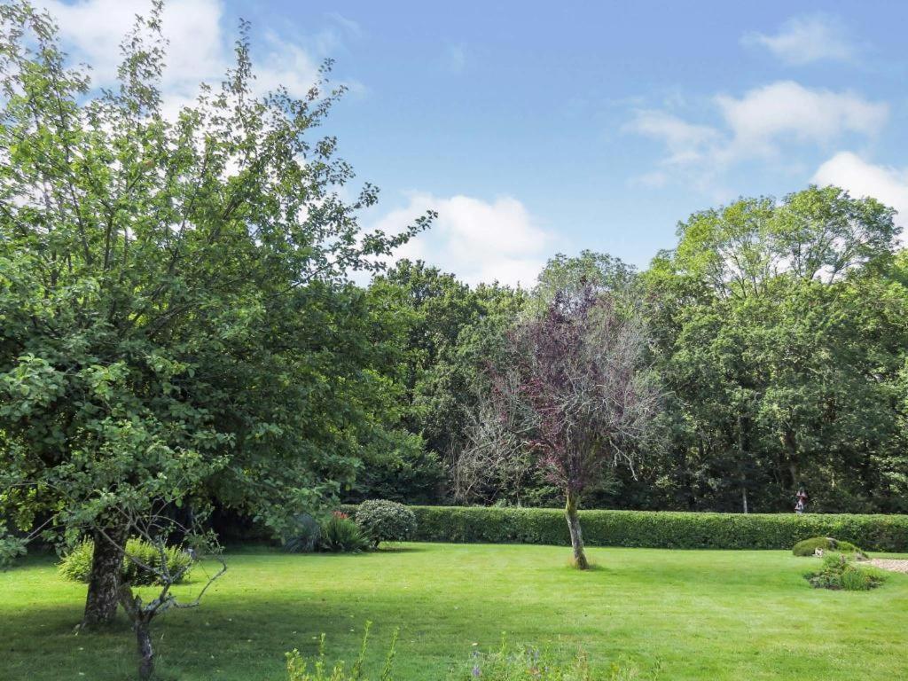 Woodland House B & B Wimborne Minster Kültér fotó